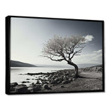 Beautiful Tree Black And White Lake Photography - Cottage Canvas Wall Art