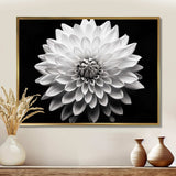 Dahlia In Monochrome Black And White - Floral Canvas Wall Art