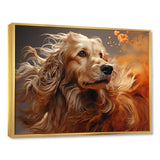 Dog Afghan Hound Air - Dog Bedroom Wall Art