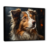 Collie Contemplation - Dog Wall Decor