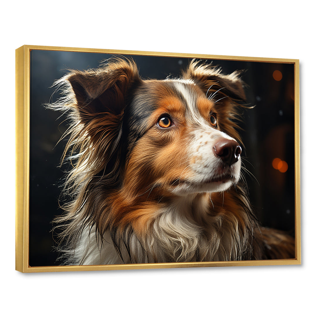 Collie Contemplation - Dog Wall Decor