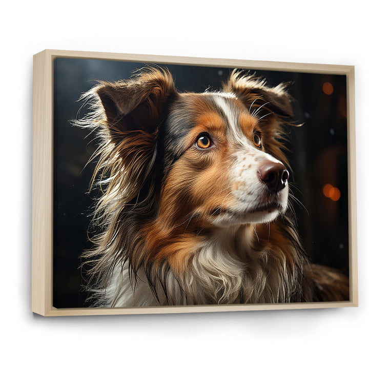 Collie Contemplation - Dog Wall Decor