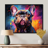 Dog French Bulldog Fiesta IV - Animals Canvas Wall Art