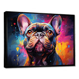 Dog French Bulldog Fiesta IV - Animals Canvas Wall Art