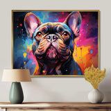 Dog French Bulldog Fiesta IV - Animals Canvas Wall Art