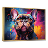 Dog French Bulldog Fiesta IV - Animals Canvas Wall Art