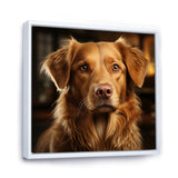 Dog Golden Grace - Brown Dog Wall Art