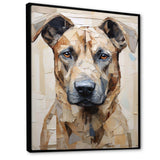 Belgian Malinois Handsome Portrait - Animals Canvas Wall Art