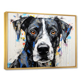 Braque Saint Germain Portrait - Dog Wall Art Prints
