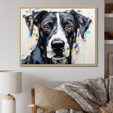 Braque Saint Germain Portrait - Dog Wall Art Prints