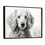 Poodle Pizazz - Dog Wall Art Prints