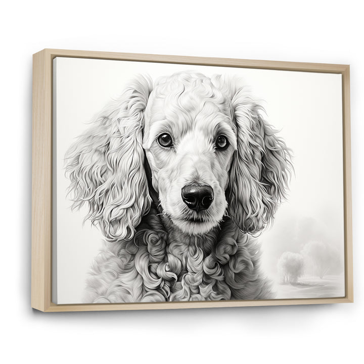 Poodle Pizazz - Dog Wall Art Prints