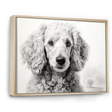 Poodle Pizazz - Dog Wall Art Prints