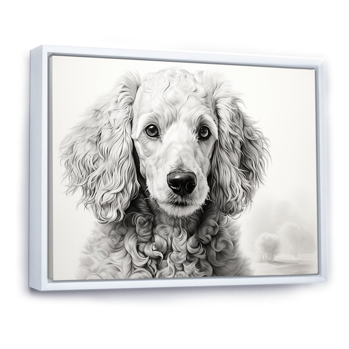 Poodle Pizazz - Dog Wall Art Prints