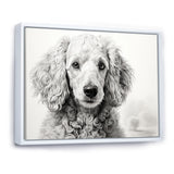 Poodle Pizazz - Dog Wall Art Prints