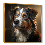 Saint Bernard Serenity - Dog Wall Decor