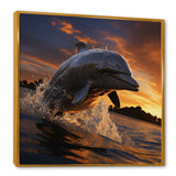 Dolphin Sunlit Silhouettes - Dolphin Home Decor Art