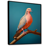 Coral Companion Dove - Coral Dove Wall Art