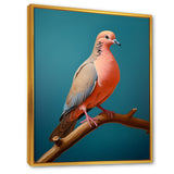 Coral Companion Dove - Coral Dove Wall Art