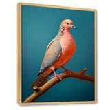 Coral Companion Dove - Coral Dove Wall Art