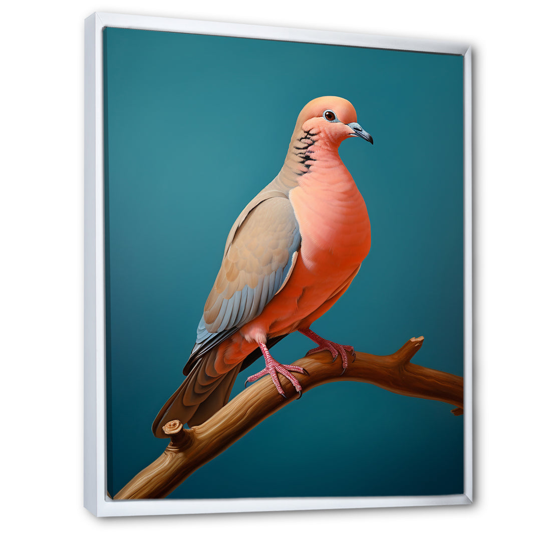 Coral Companion Dove - Coral Dove Wall Art