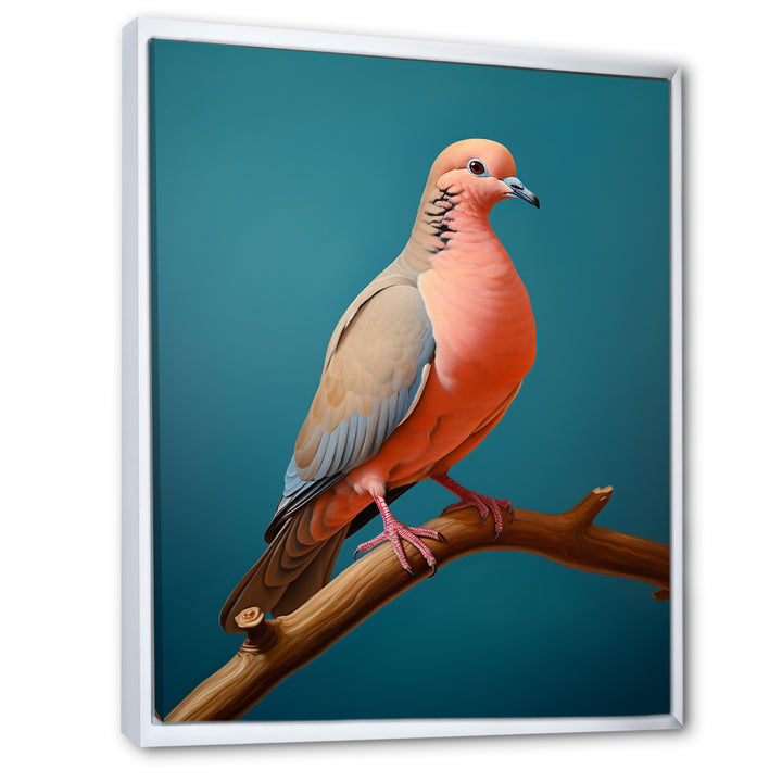 Coral Companion Dove - Coral Dove Wall Art