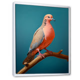 Coral Companion Dove - Coral Dove Wall Art
