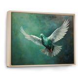 Teal Dove S Journey - Dove Canvas Wall Art