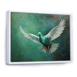 Teal Dove S Journey - Dove Canvas Wall Art