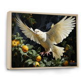 Graceful Dove - Dove Wall Decor