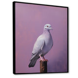 Polished Dove - Dove Wall Art Prints
