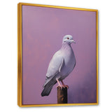Polished Dove - Dove Wall Art Prints