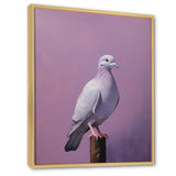Polished Dove - Dove Wall Art Prints