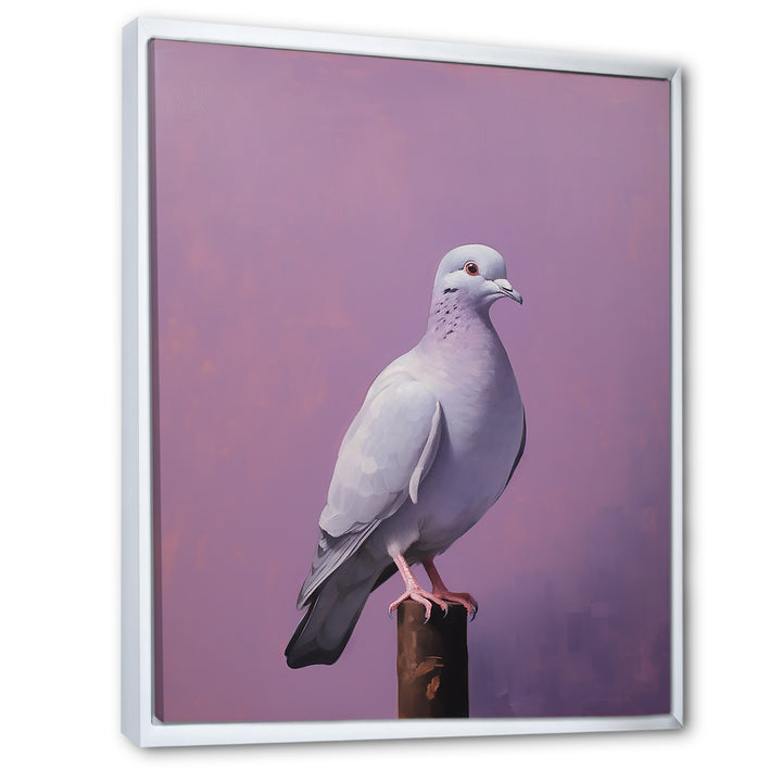 Polished Dove - Dove Wall Art Prints