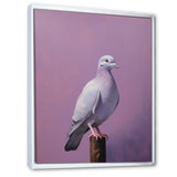 Polished Dove - Dove Wall Art Prints