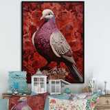 Messenger Dove - Coral Dove Wall Art