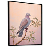 Dove S Soothing Presence - Dove Canvas Wall Art