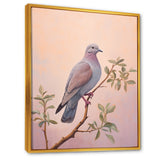 Dove S Soothing Presence - Dove Canvas Wall Art