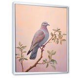 Dove S Soothing Presence - Dove Canvas Wall Art