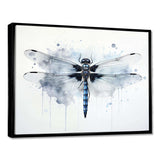 Dragonfly Elegance I - Animals Canvas Wall Art