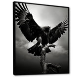 Powerful Bold Eagle - Eagle Canvas Wall Art
