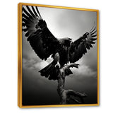 Powerful Bold Eagle - Eagle Canvas Wall Art