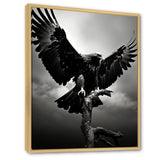 Powerful Bold Eagle - Eagle Canvas Wall Art