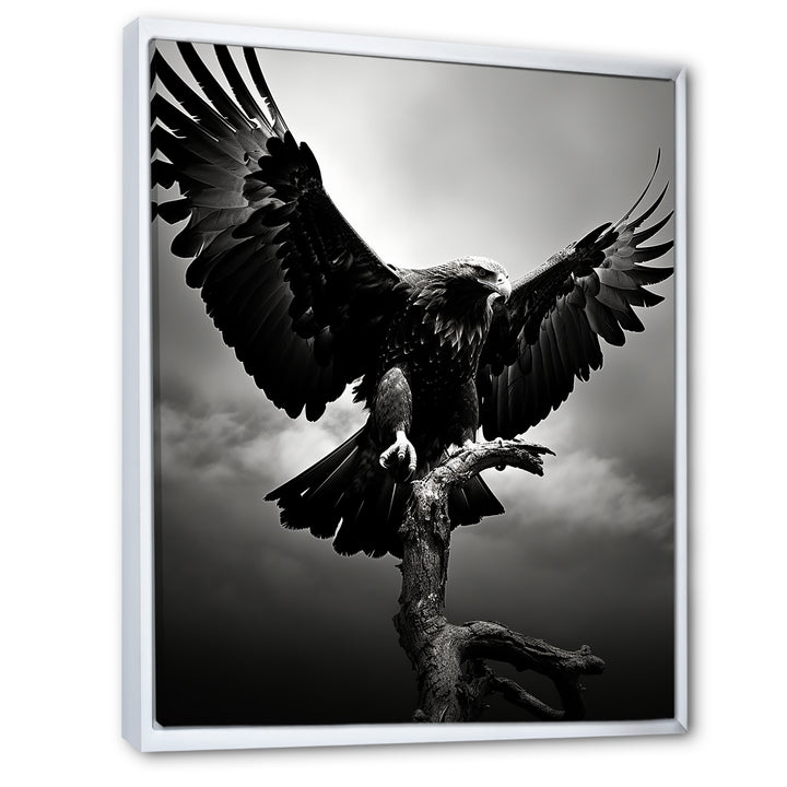 Powerful Bold Eagle - Eagle Canvas Wall Art