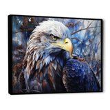 Bold Eagle Strong Gaze - Eagle Wall Art Prints