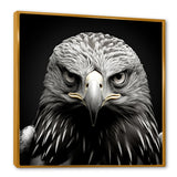 Bold Eagle Power Hunter - Eagle Framed Canvas Art