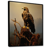 Eagle S Grace At Top - Eagle Canvas Wall Art