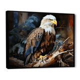 Eagle S Grace At Branch Domain - Eagle Wall Decor