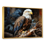 Eagle S Grace At Branch Domain - Eagle Wall Decor