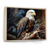 Eagle S Grace At Branch Domain - Eagle Wall Decor